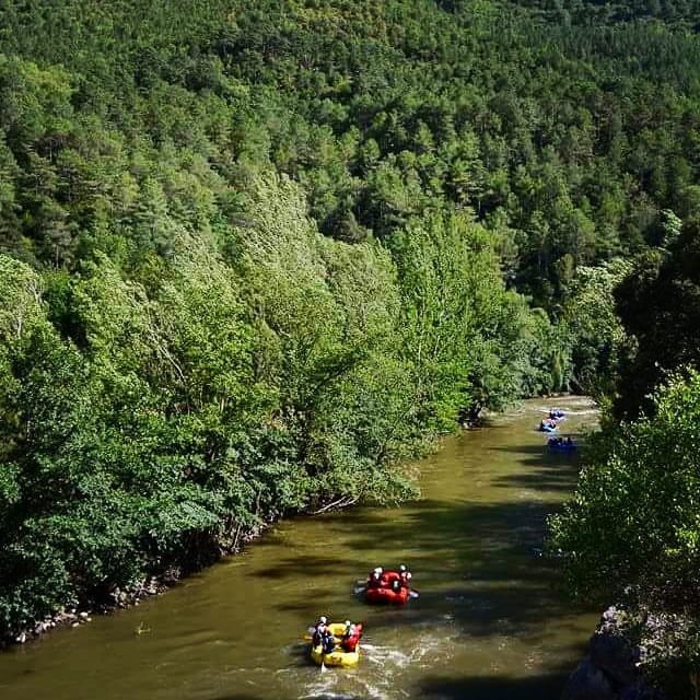 11358161_449781525202064_1923171135_n