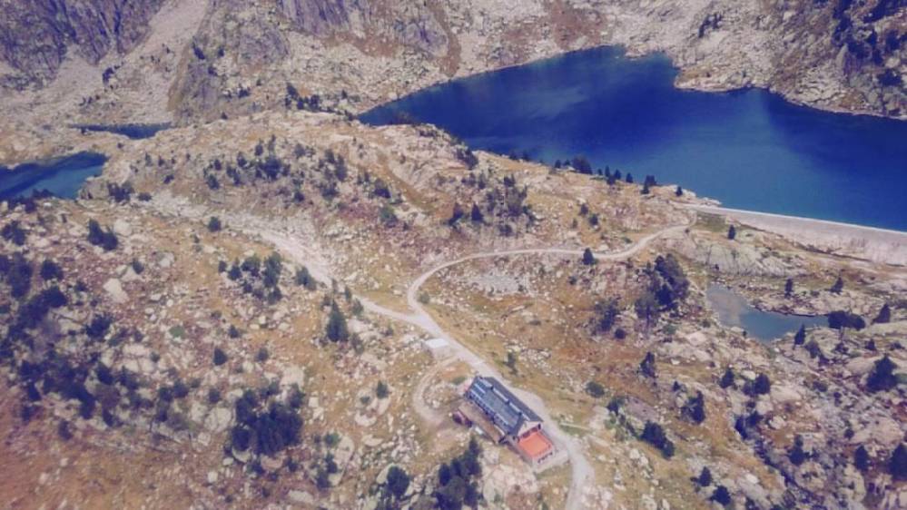 14449184_1597927843844479_7382473874681626624_n