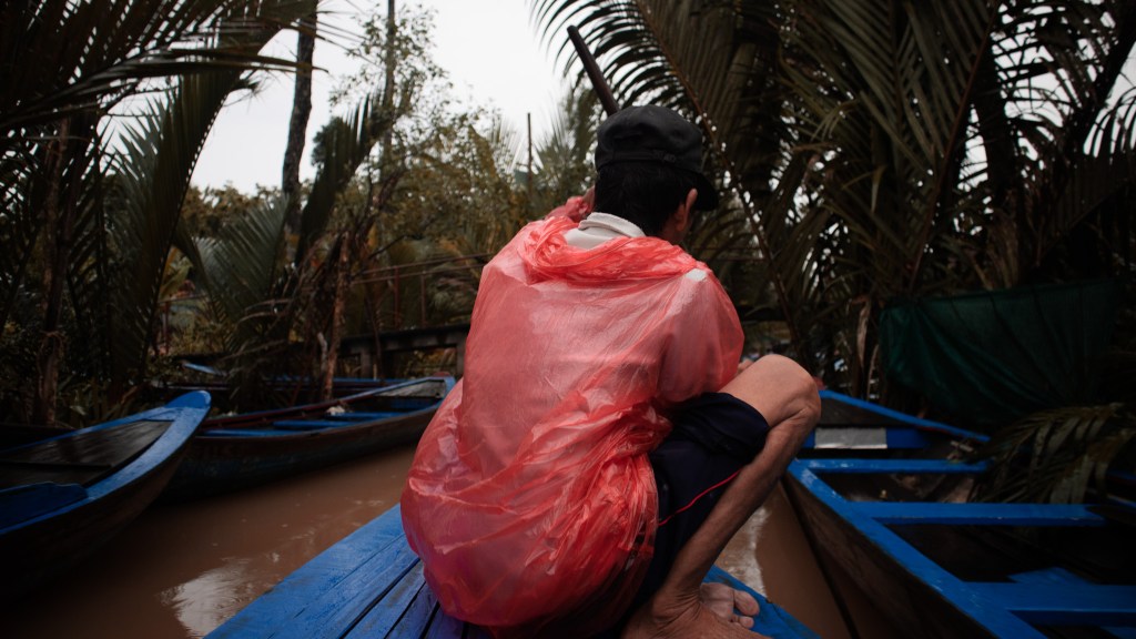Delta Mekong, Vietnam